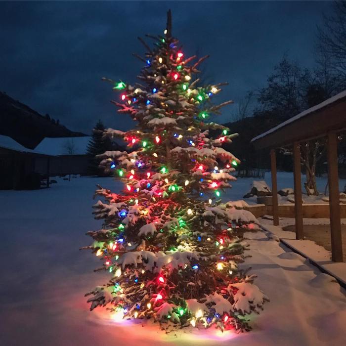 Outdoor christmas tree decor