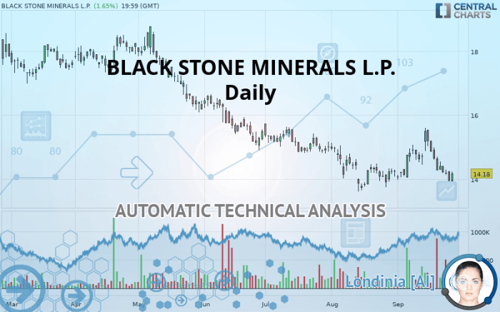 Blackstone minerals stock price