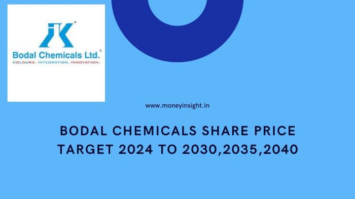 Bodal chemicals stock price