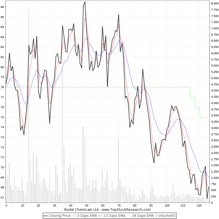 Bodal chemicals stock price