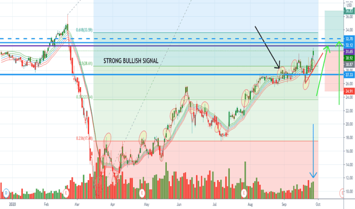 Byd stock price prediction 2025