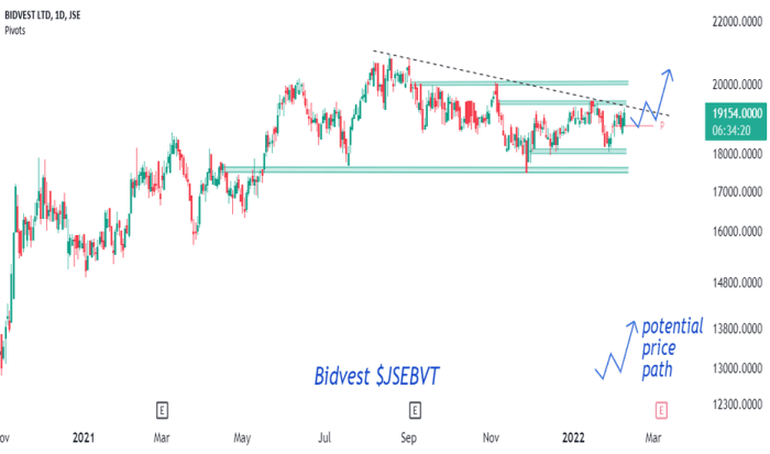 Bv stock price